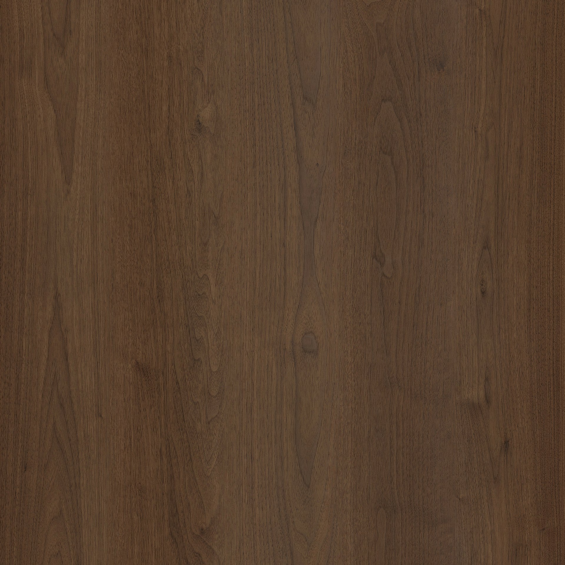 Rigid - Request Quote